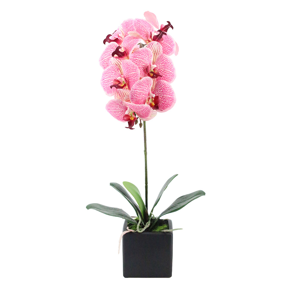 ORCHIDEA ΛΟΥΛΟΥΔΙ ΤΕΧΝΗΤΟ ΣΕ ΓΛΑΣΤΡΑ 63cm PEVA ΡΟΖ ΚΙΤΡΙΝΟ ΚΕΡΑΜΙΚΟ