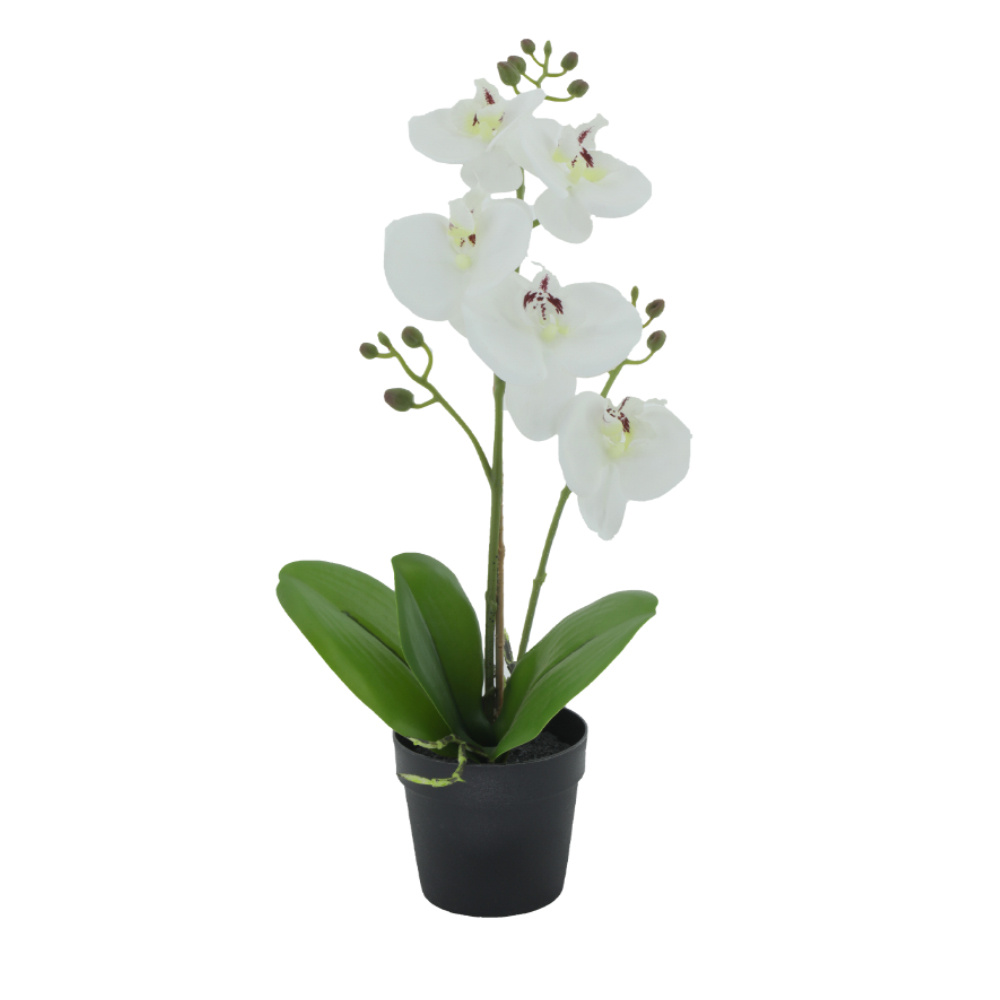 ORCHID 3 ΦΥΤΟ ΤΕΧΝΗΤΟ ΣΕ ΓΛΑΣΤΡΑ 35cm PE/PP ΛΕΥΚΟ ΠΡΑΣΙΝΟ PEVA