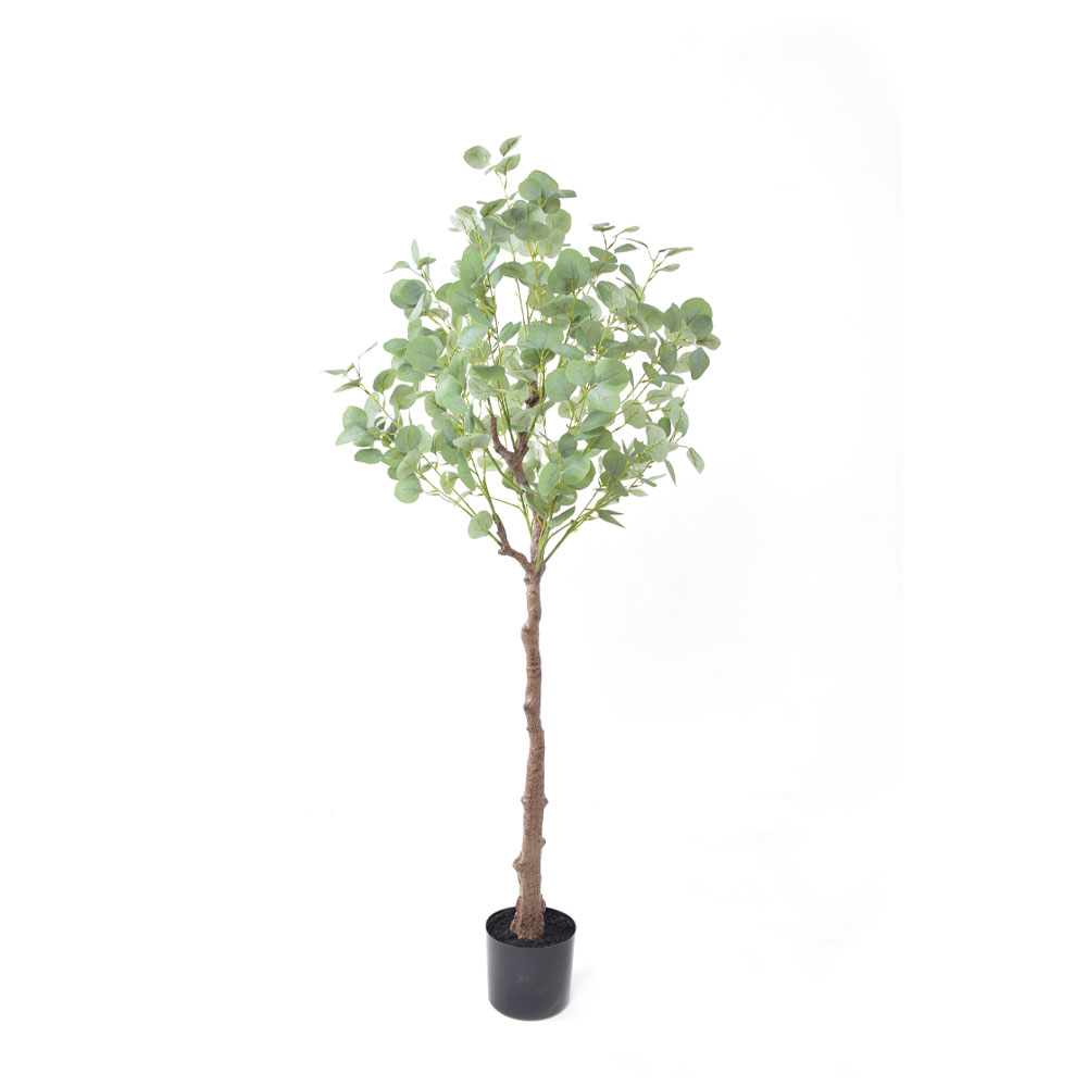 SILVER DOLLAR EUCALYPTUS ΔΕΝΤΡΟ ΤΕΧΝΗΤΟ ΣΕ ΓΛΑΣΤΡΑ 150cm PE ΠΡΑΣΙΝΟ ΜΕΤΑΞΩΤΟ ΥΦΑΣΜΑ