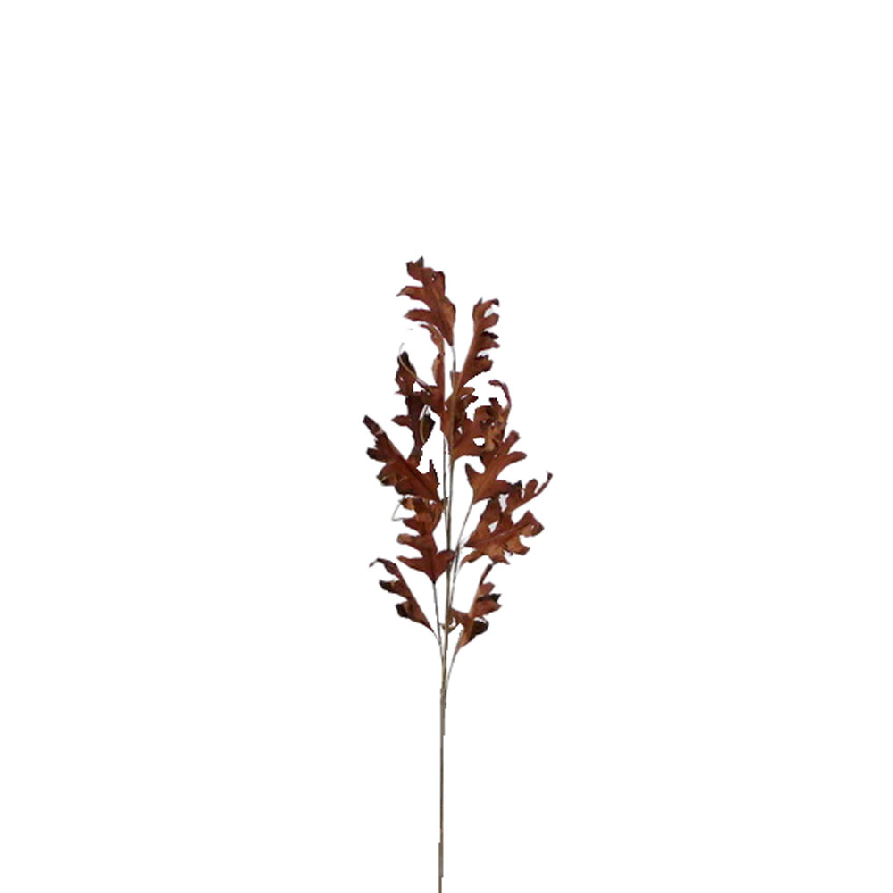 BROCADE FLOWER ΧΡΙΣΤΟΥΓΕΝΝΙΑΤΙΚΟ ΛΟΥΛΟΥΔΙ 90cm FOAM TERRACOTTA