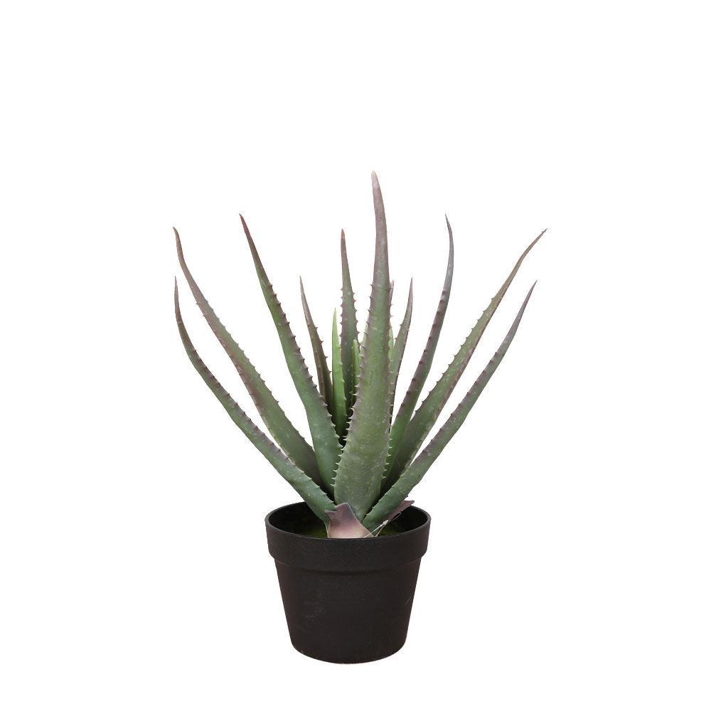 ALOE ΦΥΤΟ ΤΕΧΝΗΤΟ ΣΕ ΓΛΑΣΤΡΑ 52cm PVC ΠΡΑΣΙΝΟ ΜΑΥΡΟ ΤΣΙΜΕΝΤΟ