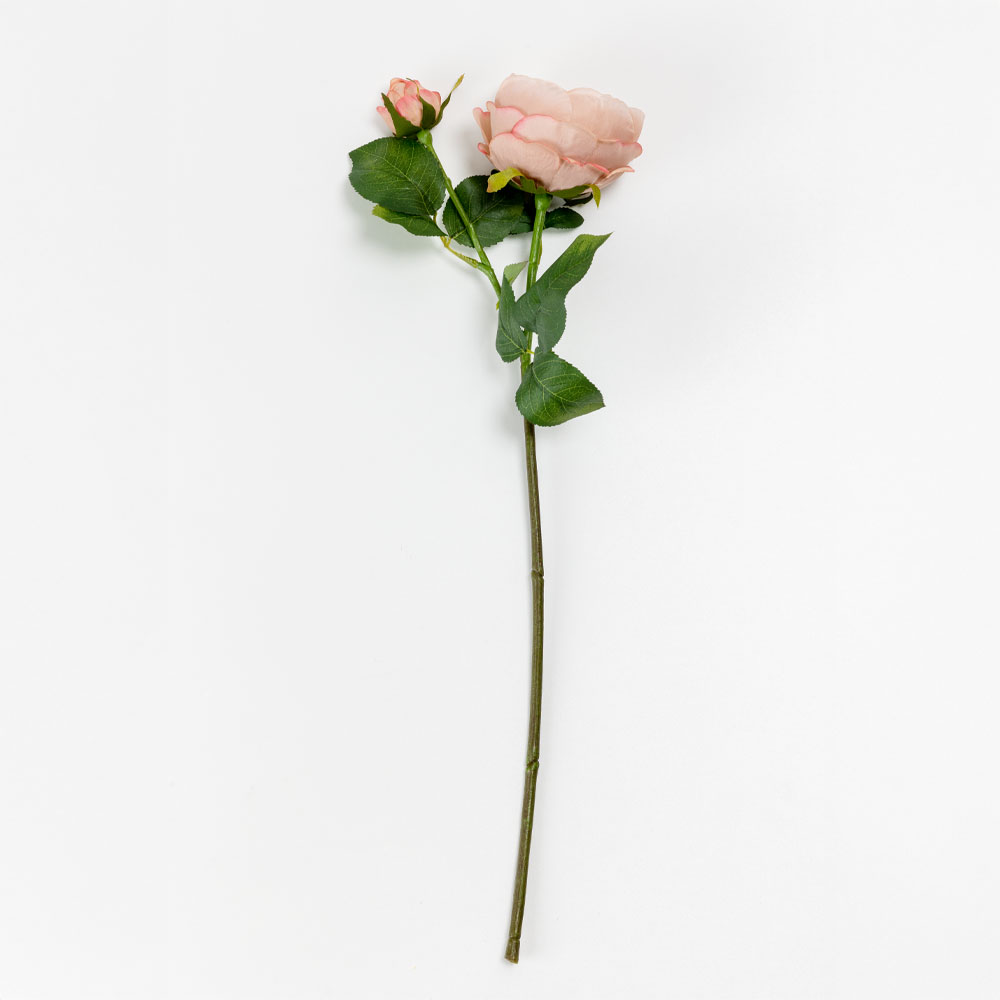 AUSTIN ROSE ΛΟΥΛΟΥΔΙ ΤΕΧΝΗΤΟ 64cm POLYESTER ΣΟΜΟΝ ΠΡΑΣΙΝΟ