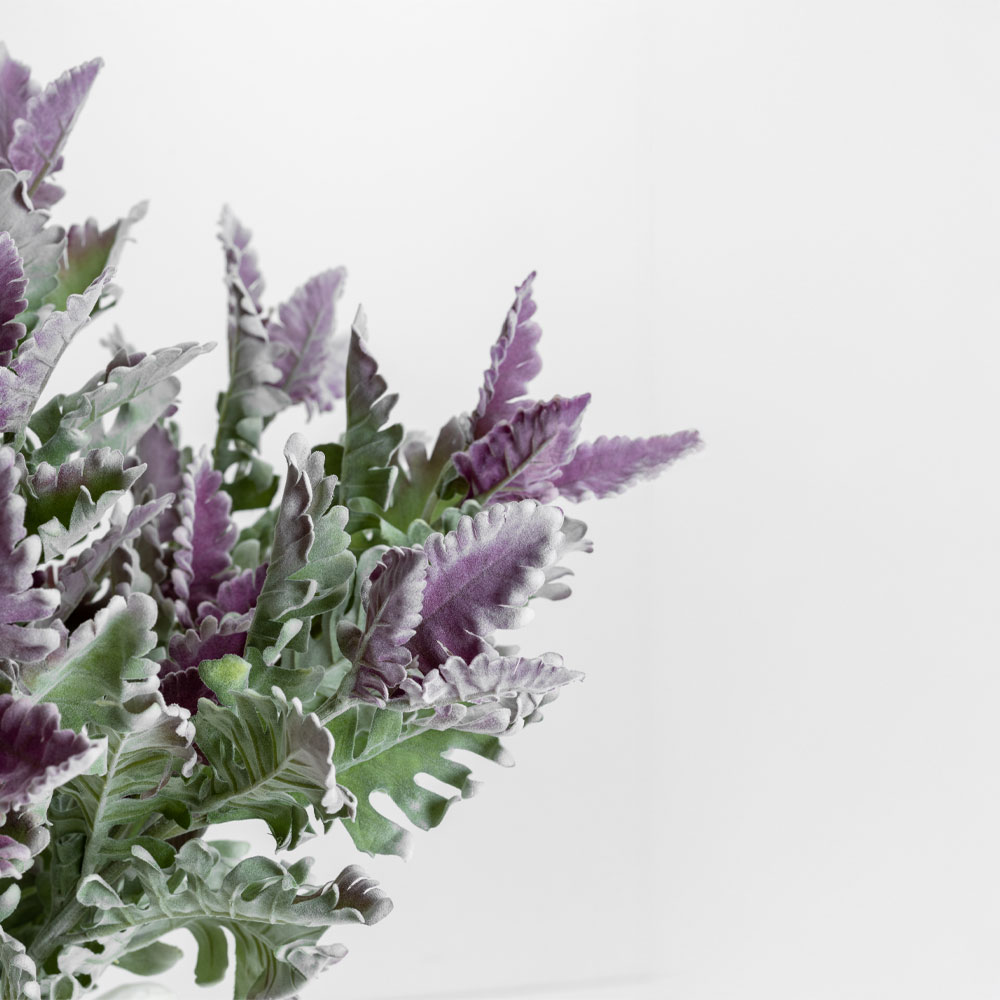 Τεχνητό κλαδί - Πράσινο & μωβ 76 εκ. | Senecio Cineraria