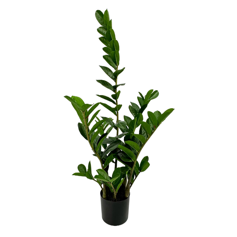 ZAMIA ΦΥΤΟ ΤΕΧΝΗΤΟ ΣΕ ΓΛΑΣΤΡΑ 85cm ΥΦΑΣΜΑ ΠΡΑΣΙΝΟ PVC